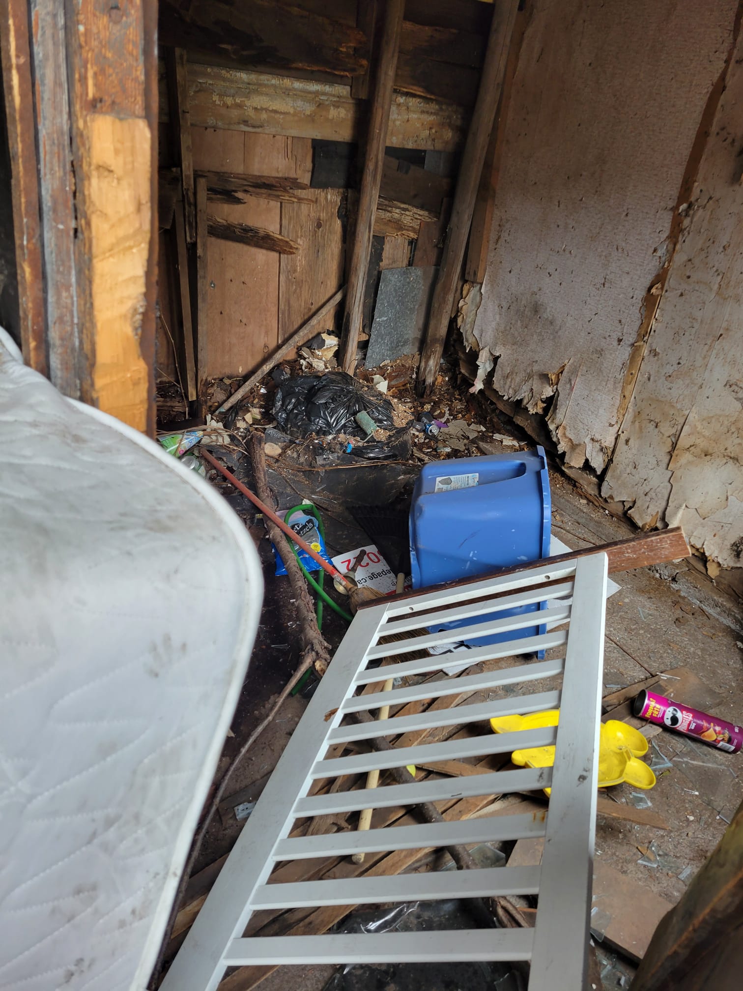 The interior of a dilapidated shed filled with debris, including a stained mattress, a white crib gate, black garbage bags, a blue bin, and scattered trash on the floor